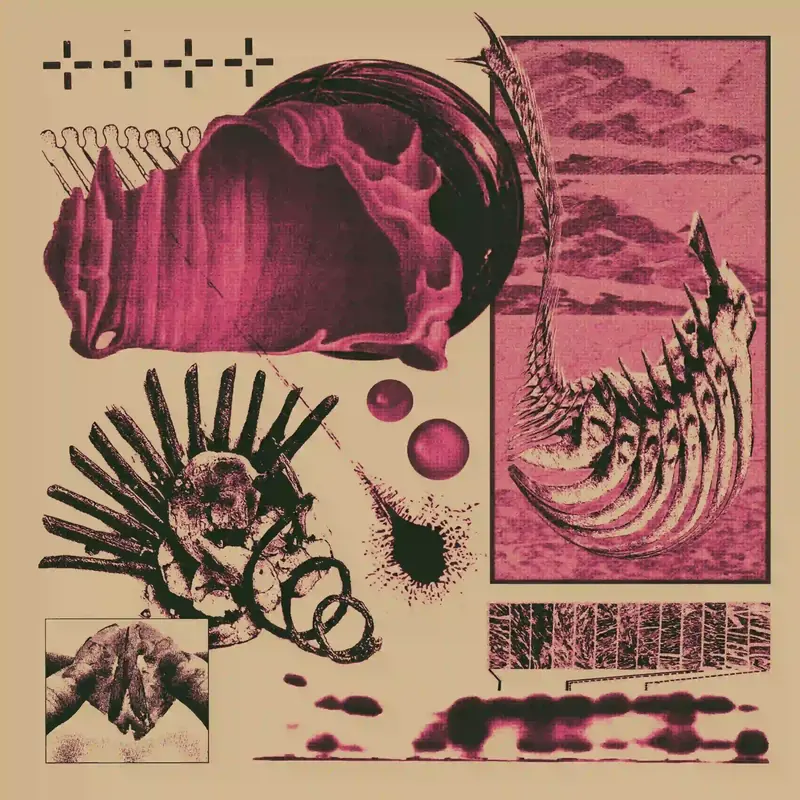 Blvck Svm
