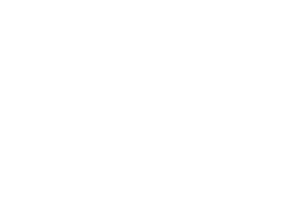 wreckshop logo